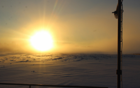 Погода в Сыктывкаре 25 февраля: «Мороз и солнце; день чудесный!»