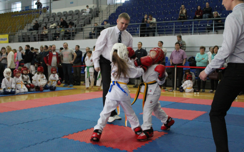 От мала до велика: в Сыктывкаре на турнире «Белые ходоки» сражались бабушки и внучки