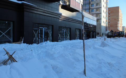 В Сыктывкаре забор с надписью «Путин» снесли и отвезли на свалку