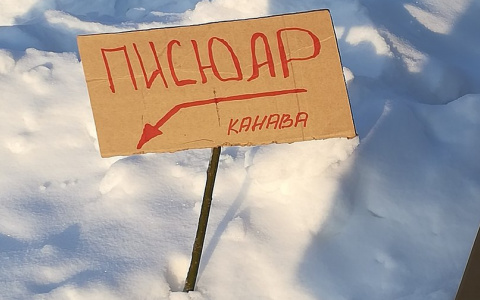 В Сыктывкаре работники пивного ларька креативно решили проблему с туалетом