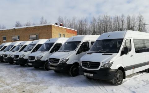 На автобусные маршруты Сыктывкара выйдут 17 новых «Мерседесов»