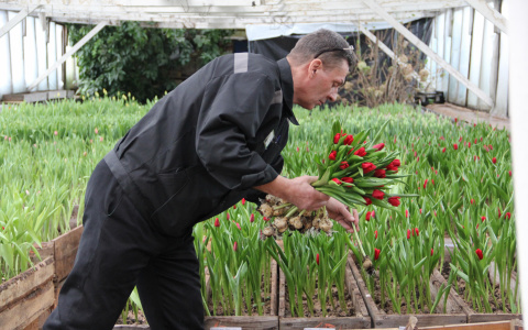 В верхнечовской колонии приготовили сюрприз для сыктывкарок к 8 марта