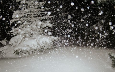 Погода в Сыктывкаре 2 марта: слабый ветер и слабый снег