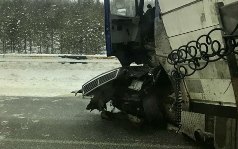 На трассе в Коми «Мерседес» залетел под «МАЗ», погибли двое (фото)