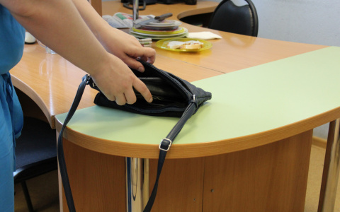 В Сыктывкаре бухгалтер украла у собственной фирмы больше 3 миллионов рублей