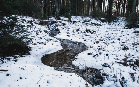 Погода в Сыктывкаре 5 марта: ожидается незначительное похолодание