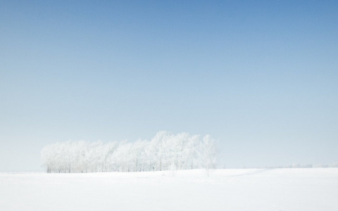 В Сыктывкаре ударят лютые морозы, которые резко сменит весеннее тепло