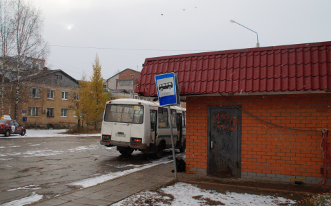 Бывший преподаватель сыктывкарского вуза: «Меня избил водитель автобуса»