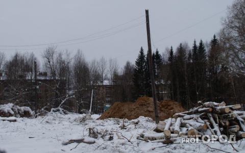 Мэр Сыктывкара объяснил, почему в ботаническом саду вырубают деревья и что будет на их месте