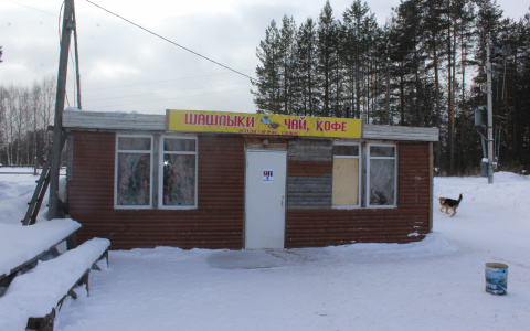 Пользователи соцсетей разоблачили лучшего в мире шашлычника из Сыктывкара