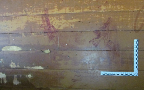 Появились фото с места происшествия в Сыктывкаре, где двое пытали пожилую пару