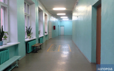 Сыктывкарка устроила травлю на учителя своих детей