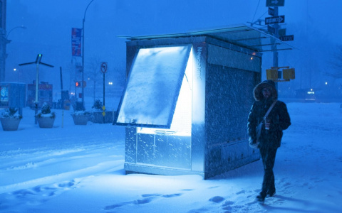 В Коми из-за ураганного ветра объявили актированный день