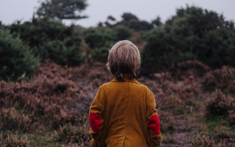 В Коми полиция и спасатели искали 9-летнего мальчика