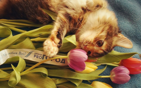 Стало известно имя победителя розыгрыша в честь 8 марта