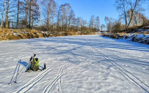 Международный день рек: какие водные объекты есть в Сыктывкаре и что за рыбы в них живут