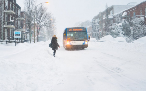 В Сыктывкаре появилось мобильное приложение, чтобы следить за автобусами