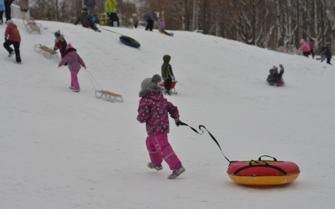 В нескольких городах Коми у школьников отменили занятия