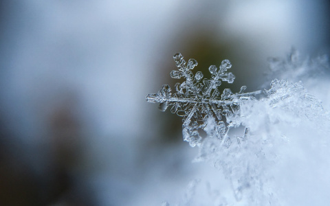 Синоптики сообщили, когда в Сыктывкаре закончатся снегопады
