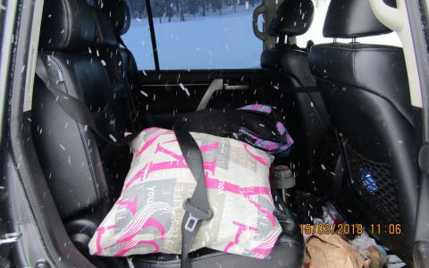 Выяснилось, что в смертельном ДТП в Коми в салоне «Ленд Крузера» были 4-летние двойняшки