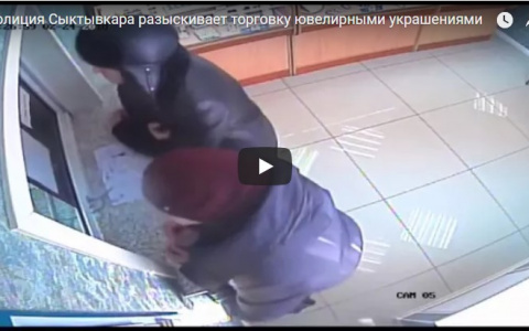 Полиция Сыктывкара разыскивает торговку ювелирными украшениями (видео)