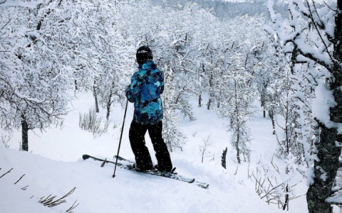 Погода в Сыктывкаре на 17 марта: долой снегопады, здравствуй, мороз!
