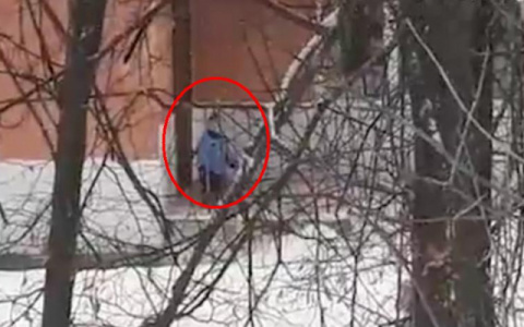 Новости России: сотрудники ГИБДД убили пешехода, а воспитатели детсада оставили ребенка замерзать на улице