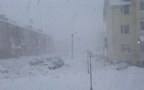 Сыктывкар накрыла метель, но синоптики говорят, что это нормально (видео)