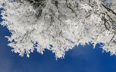 Весна в Сыктывкаре еще не наступила: ожидаются морозы