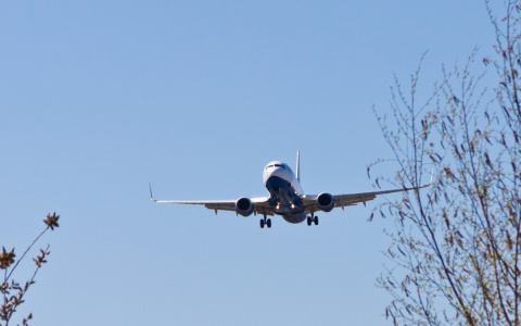 В Республику Коми из Татарстана самолетом отправили опасную для жизни посылку