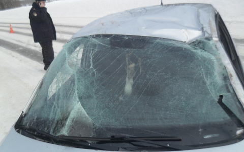 На трассе в Коми «Фольксваген» перевернулся на крышу (фото)