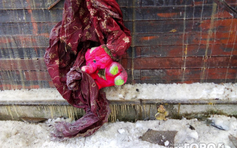 Сыктывкарка, которая лишилась в пожаре 5-летней дочки, просит о помощи