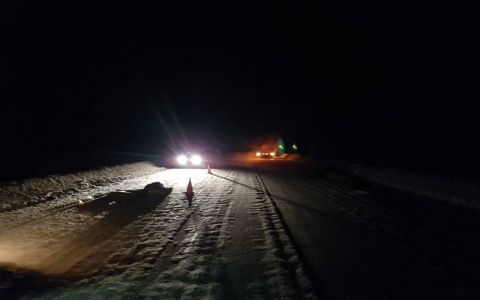 В Коми на трассе «Сыктывкар-Ухта» ВАЗ насмерть сбил пешехода (фото)