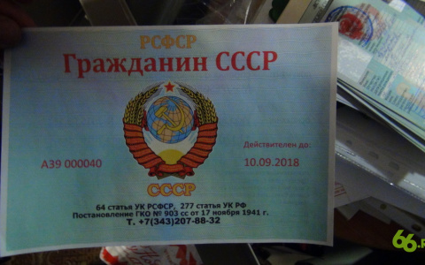 ФСБ задержала мужчину из Коми за организацию секты Огнебога и подготовку революции (видео)