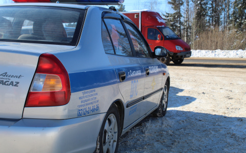 В Сыктывкаре на рейде ГИБДД внимание инспекторов привлек необычный груз