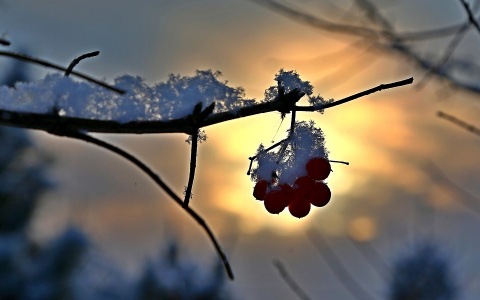 Погода в Сыктывкаре на 23 марта: снова весна?