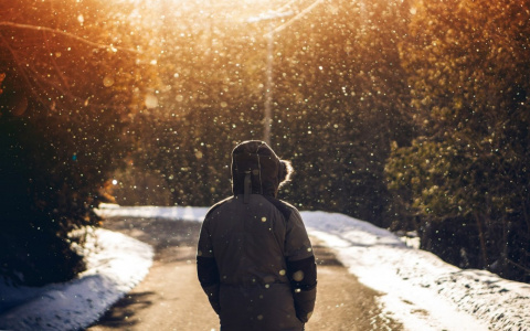 На выходных в Сыктывкаре наступит настоящая весна