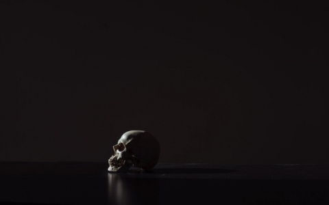 Стало известно, чьи обглоданные кости нашли на берегу реки в Коми