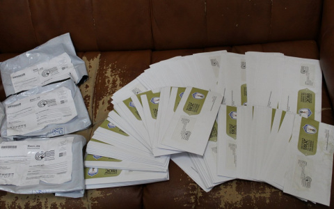 «Почта России» сообщила, что будет с письмами, которые сыктывкарец нашел на помойке