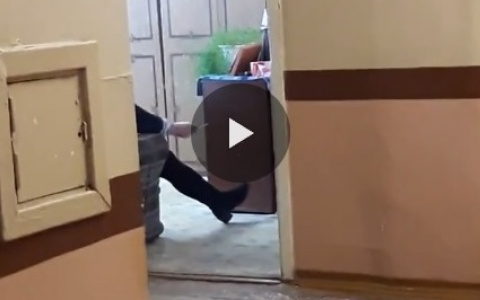 Сыктывкарцы сняли на видео, как в Эжвинской больнице открыто курят в кабинете