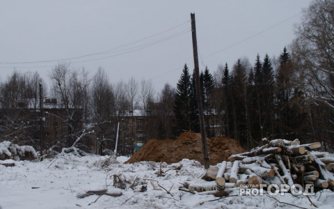 Стало известно, когда территорию ботсада СГУ в Сыктывкаре застроят высотками