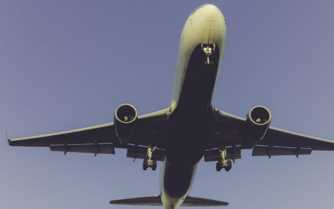 В Коми самолет не мог приземлиться из-за бродячих собак