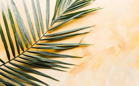 В Пасху в храмах Сыктывкара будут продавать пальмовые ветви