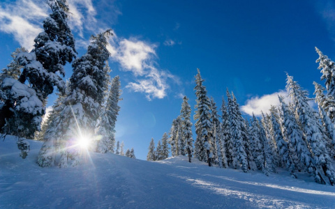 Погода в Сыктывкаре 31 марта: первый в этом году по-настоящему весенний выходной