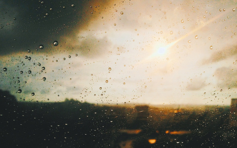 На этой неделе в Сыктывкаре пройдет первый весенний дождь