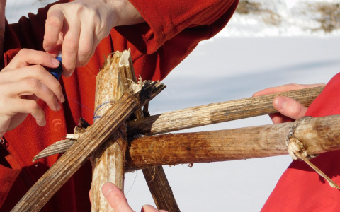 Сыктывкарцы нашли необычное применение борщевику (фото)