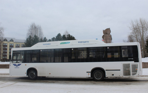 Глава Коми подарит сыктывкарцам 20 пассажирских автобусов (видео)