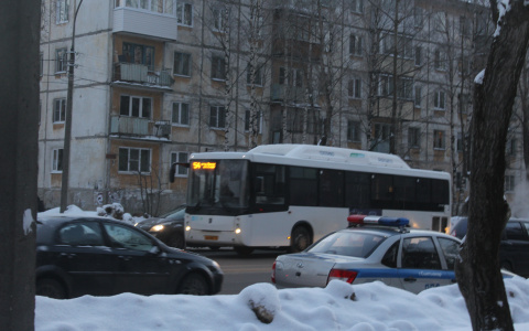 Сыктывкарский перевозчик рассказал, чем они заменят утилизированные «Икарусы»