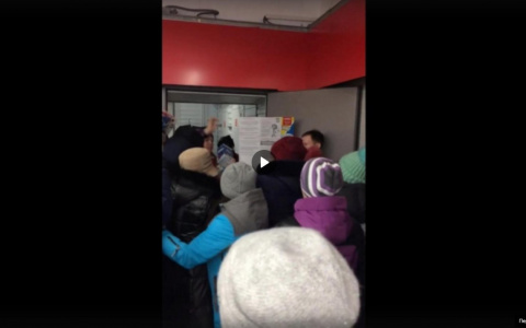 Жители Коми были готовы лезть в драку, чтобы получить за бесценок мягкие игрушки (видео)