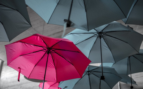 Погода в Сыктывкаре 4 апреля: пора расчехлять зонты